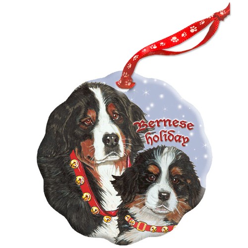 Bernese mountain dog holiday - bernese,