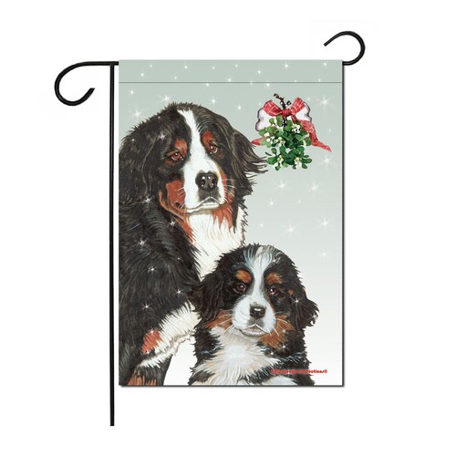 Bernese mountain dog christmas - dog,