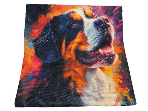 Bernese mountain dog colorful - mountain,