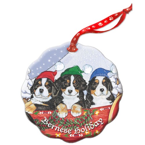 Bernese mountain dog - dog, holiday