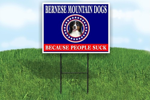 Bernese mountain dogs because - bernese,