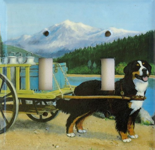 Bernese dog double - double, toggle