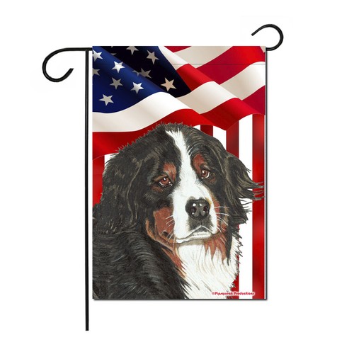 Bernese mountain dog - bernese,