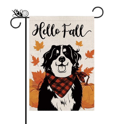 Hello fall garden - fall, bernese