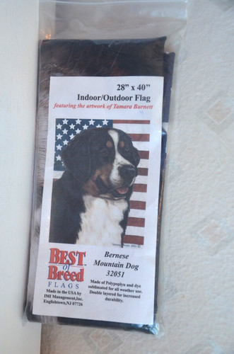 Bernese mountain dog - bernese, best