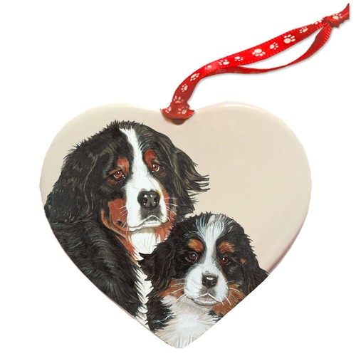 Bernese mountain dog - bernese,