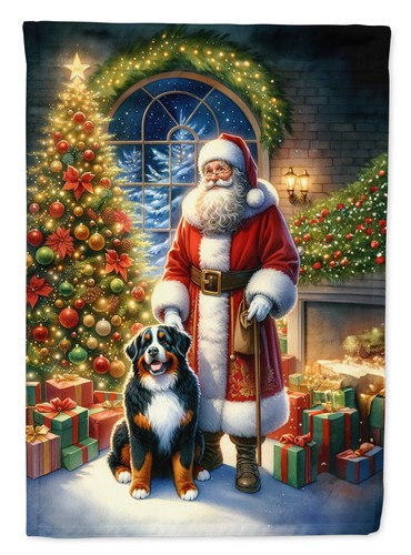 Bernese mountain dog - bernese,