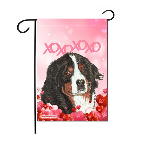 Bernese mountain dog - mountain,