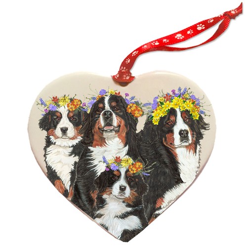 Bernese mountain dog - bernese,