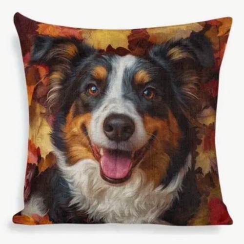Bernese collie leaves double - bernese,