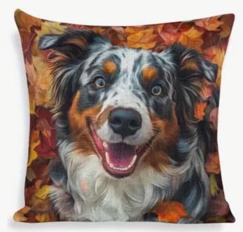 Bernese collie leaves double - collie,
