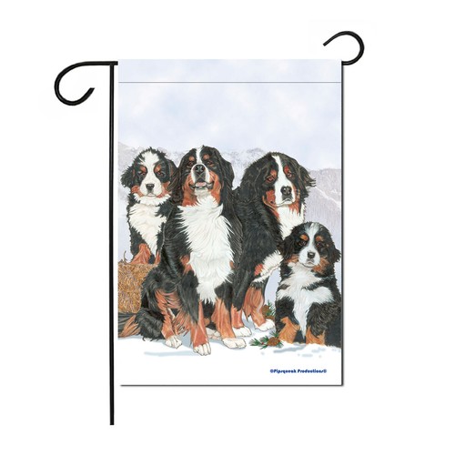 Bernese mountain dog - mountain,